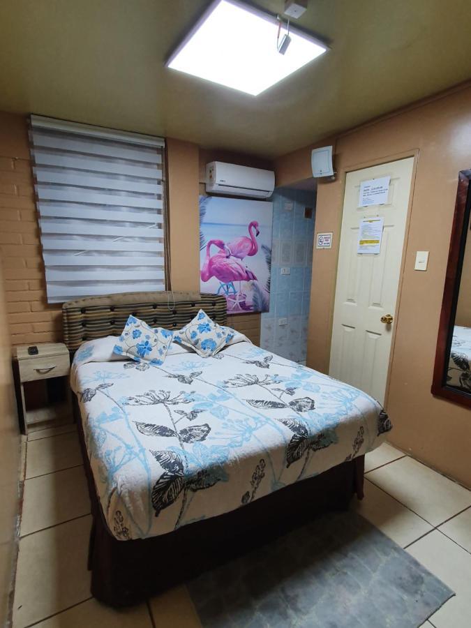 Hostal Mi Maravilla La Serena Esterno foto